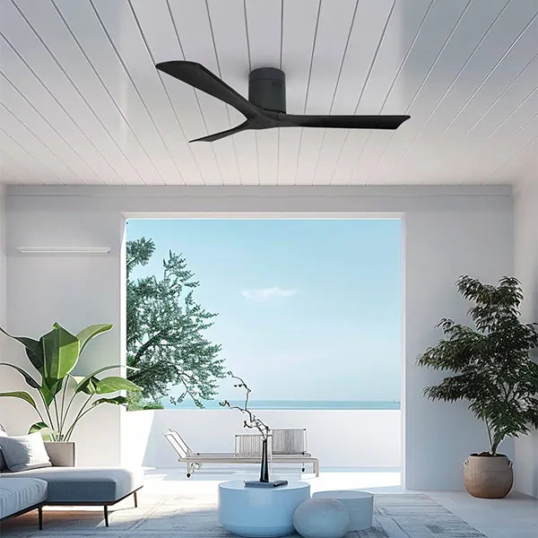 Ventilador Ventus Negro