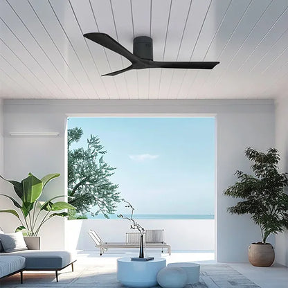 Ventilador Ventus Negro